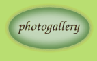 photogalleryenglish